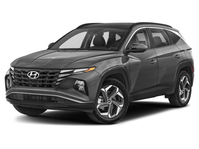 Hyundai Dealer Showroom - Avondale Hyundai dealer in Avondale AZ - New