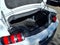 2025 Ford Mustang GT Premium***HARD TO FIND!!!