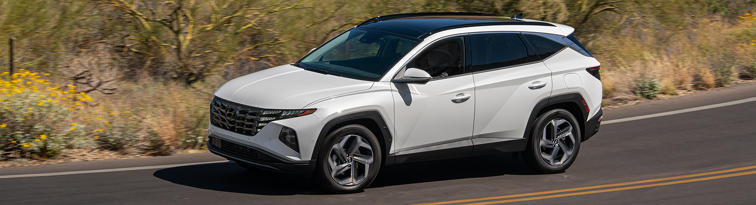Spacious cargo area of a 2023 Hyundai Tucson Hybrid with a folding rear seat